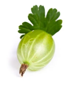 Gooseberry Stock Photos