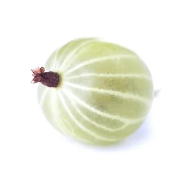 Gooseberry Stock Photos