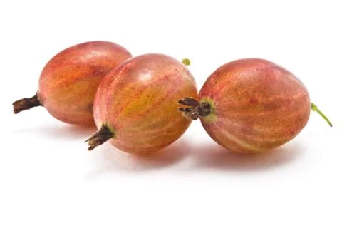 Gooseberry Stock Photos