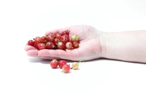 Gooseberry Stock Photos