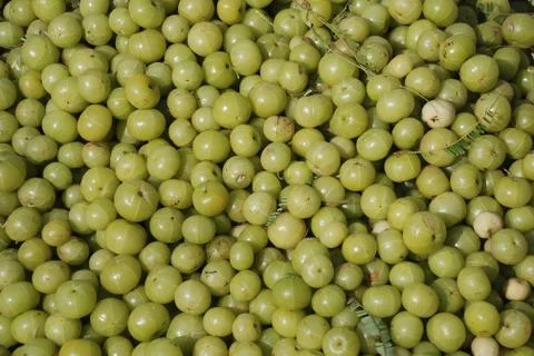 Gooseberry Foto stock