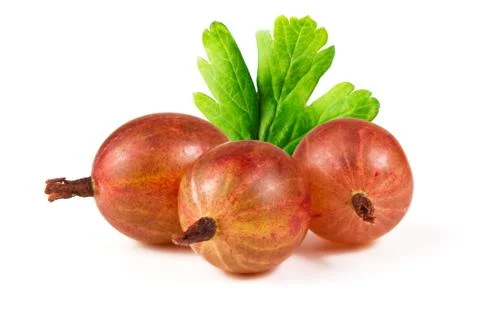 Gooseberry Stock Photos