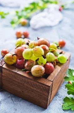 Gooseberry Stock Photos