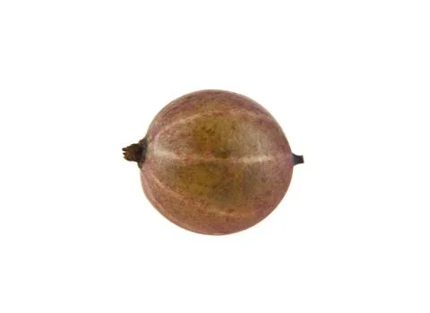 Gooseberry Stock Photos