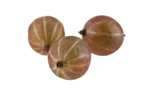 Gooseberry Stock Photos