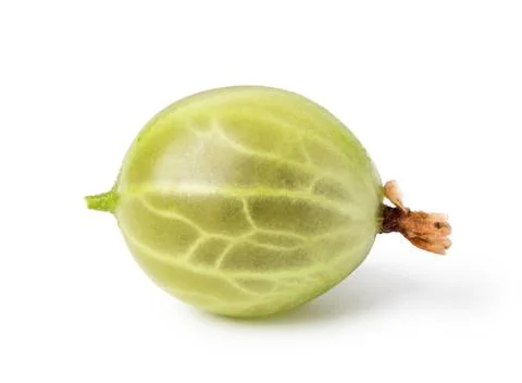 Gooseberry Stock Photos