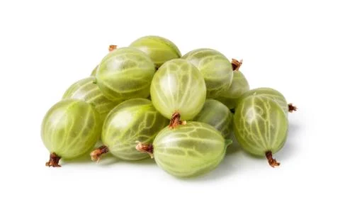 Gooseberry Stock Photos