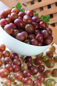 Gooseberry in a plate on a table Stock Photos