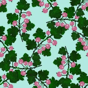 Gooseberry seamless pattern. Stock Illustration