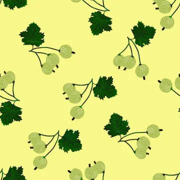 Gooseberry seamless pattern Stock Illustration