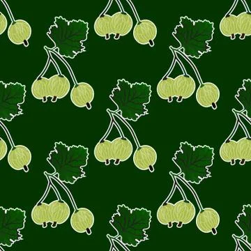 Gooseberry seamless pattern Stock Illustration