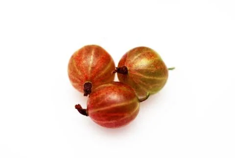 Gooseberry on white background macro Stock Photos