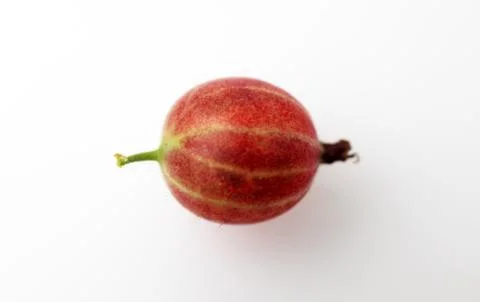 Gooseberry on white background macro Stock Photos