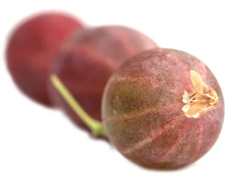 Gooseberry on white background Stock Photos