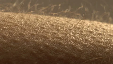 Goosebumps close up. Hair on the hand stand up and falls. Stock Footage