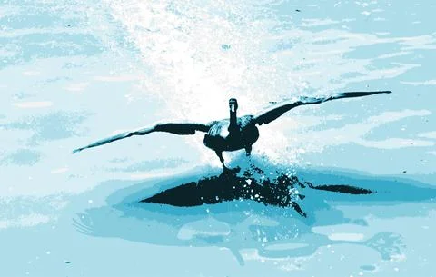 Gooselanding Stock Illustration