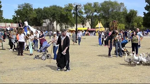 Gooses walking behind the shepherd by the streets of Alcala de Henares city 動画素材 94494594