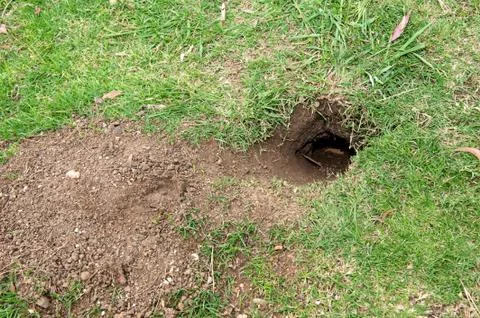 Gopher hole Stock Photos