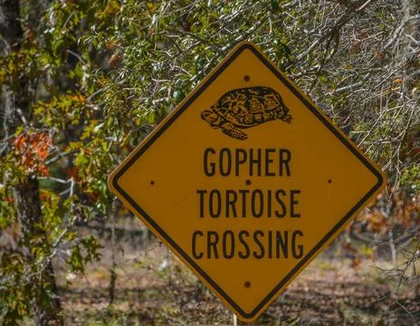 Gopher Tortoise Crossing Sign Gopher Tortoise Crossing Sign at a wildlife ... Stock Photos