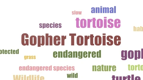 Gopher Tortoise Word Cloud Animated On White Background Stock Footage 107228407