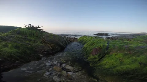 A gopro heading into the sea Video stock 244384972