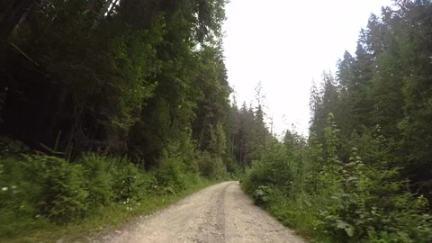 GoPro mounted on front bumper while off road Stock Footage 95220602