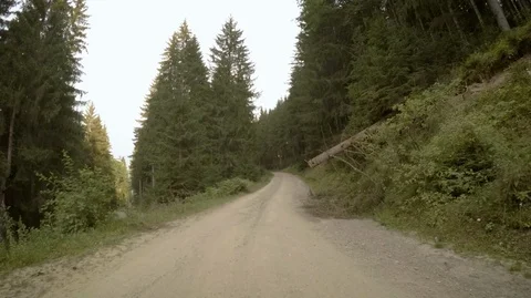 GoPro mounted on front of a car driving through a forest road Stock Footage 94974872