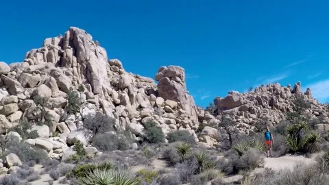 GoPro Pan of Joshua Tree Stock Footage 79588198