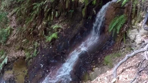 GoPro Pan of Waterfall Stock Footage 79589441