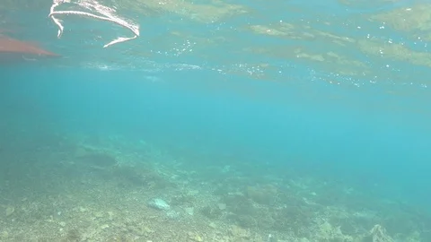 GoPro point of view while snorkeling in Mantanani Island Stock Footage 114985718