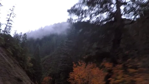 GoPro shot driving through fall foliage in the mountains Video stock 79590094