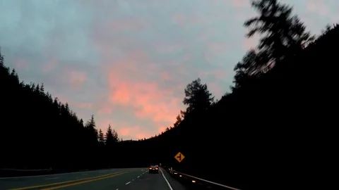 GoPro shot driving through forest during sunset Video stock 79595868