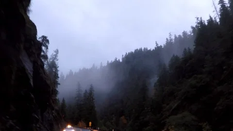 GoPro shot driving through low clouds in the forest Stock Footage 79596260