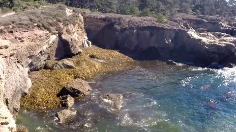 GoPro Shot of seaweed in the waves Stock Footage 79577221