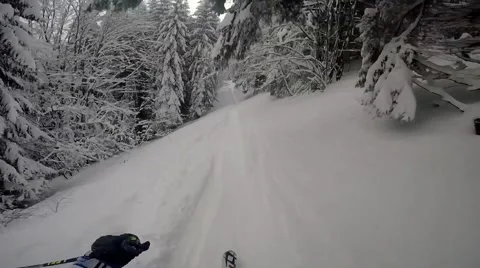 GoPro Skiing between trees Stock Footage 68050289