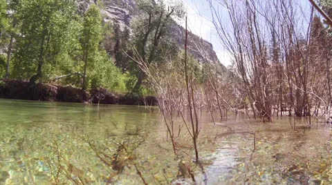 GOPRO194-Mountain-Stream-Underwater Stockbeeldmateriaal 24794841