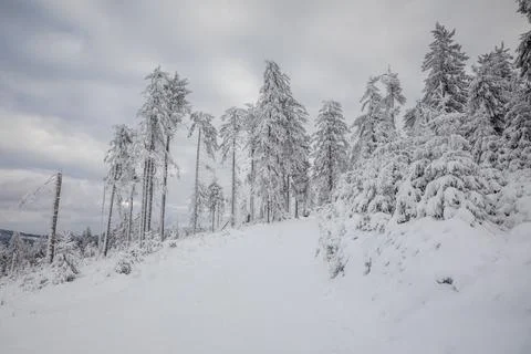 Gorce Mountains in winter Stock-Fotos