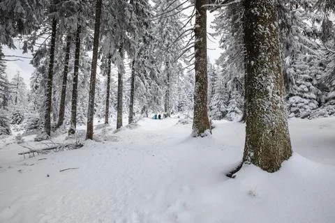 Gorce Mountains in winter Stock-Fotos
