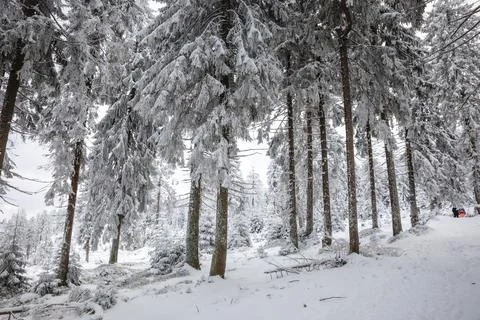 Gorce Mountains in winter Stock Photos