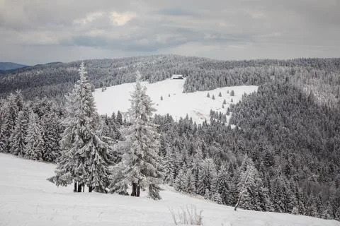 Gorce Mountains in winter Stock-Fotos