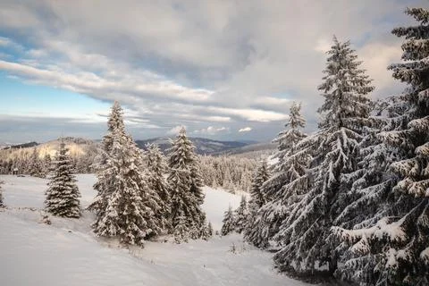 Gorce Mountains in winter Stock Photos
