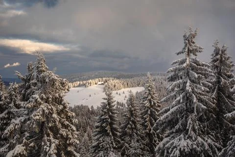 Gorce Mountains in winter Stock-Fotos