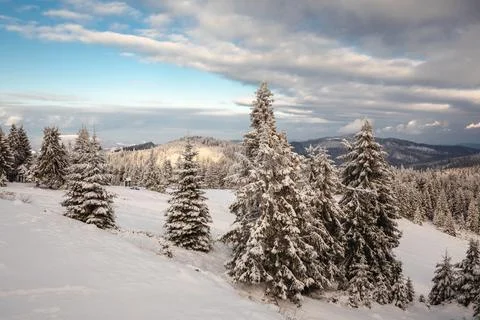 Gorce Mountains in winter Stock Photos