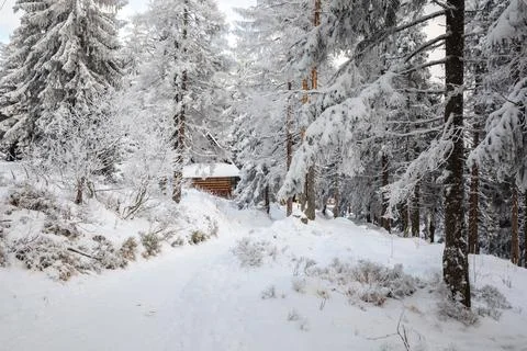 Gorce Mountains in winter Stock Photos