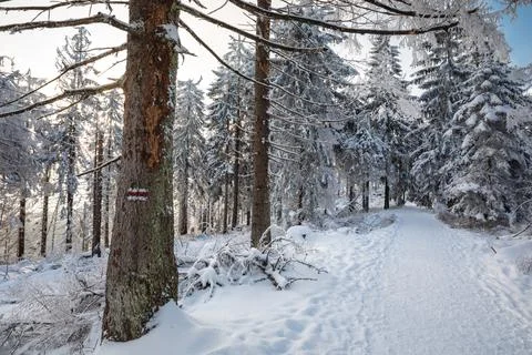Gorce Mountains in winter Stock-Fotos
