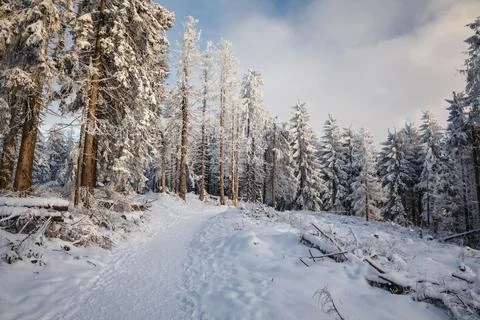 Gorce Mountains in winter Foto stock