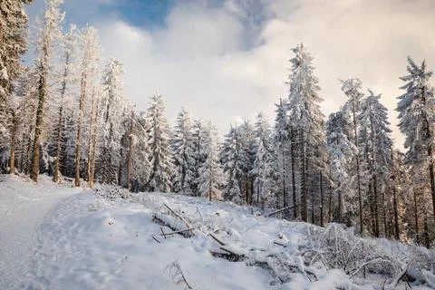 Gorce Mountains in winter Stock-Fotos