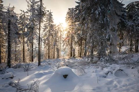 Gorce Mountains in winter Stock-Fotos