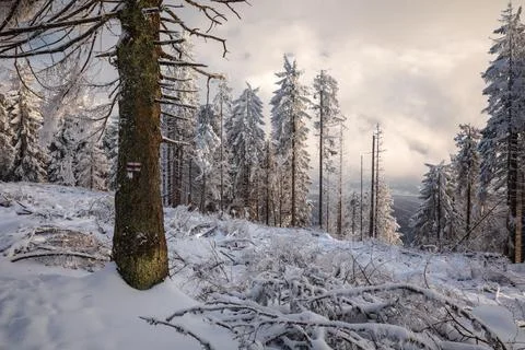 Gorce Mountains in winter Foto stock