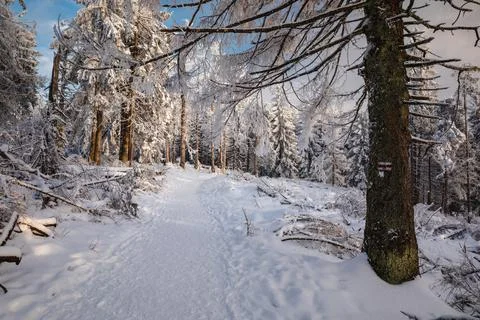 Gorce Mountains in winter Stock-Fotos